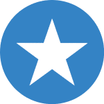 made in the usa star icon