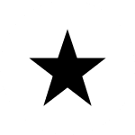 made in the USA star icon white